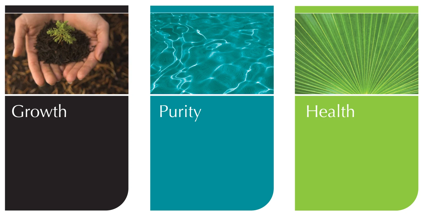Three panels: growth, with soil in two hands, on black; purity, with water, on turquoise; health, with a leaf, on green.