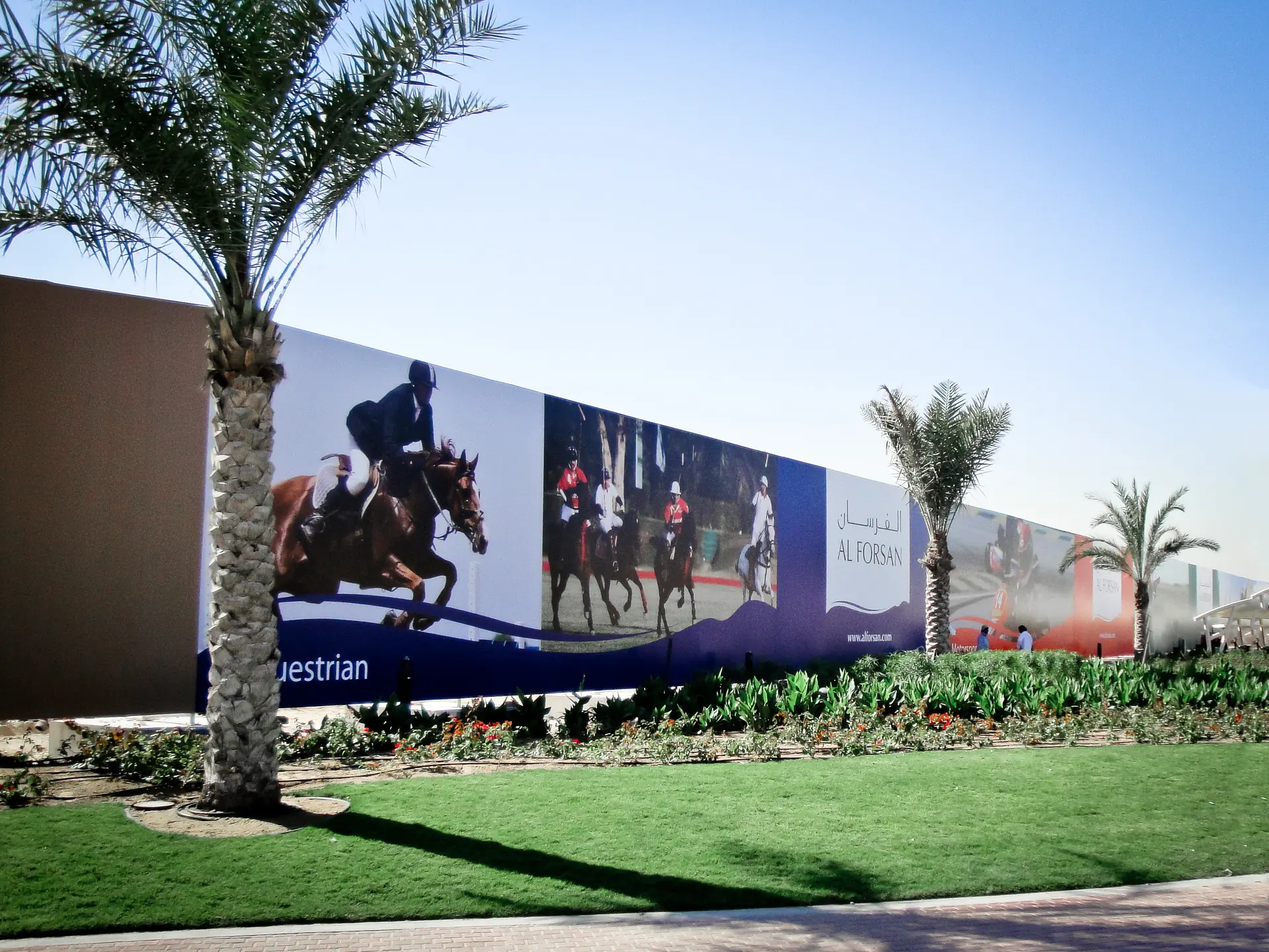 Photograph: the hoarding behind a palm tree, a show-jumper and polo players on a blue wave